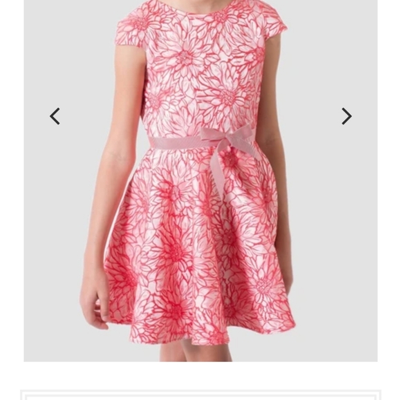 Dress - Picture 1 of 3